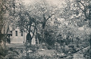 Exempel på fruktträdgård, ursprungligen anlagd av William Morris, c1900 av Unbekannt