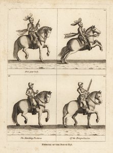 Träning av hästen av Unbekannt