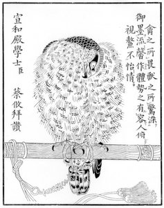 Falcon, 1886 av Unbekannt