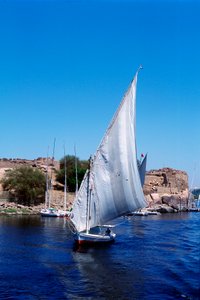 Feluccas på Nilen, Elephantine Island nära Aswan, moderna Egypten av Unbekannt