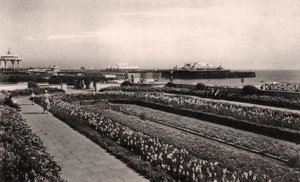 Blomsterträdgårdar och West Pier, Brighton, Sussex, 1938 av Unbekannt