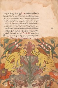Folio från en Kalila wa Dimna, 1700-tal. av Unbekannt
