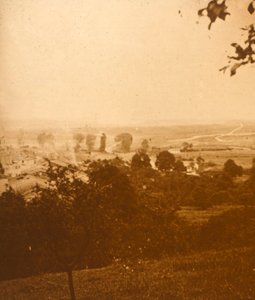 Forest of Argonne, norra Frankrike, c1914-c1918 av Unbekannt