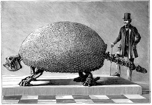 Fossil av en jättebältdjur från Sydamerika, c1890 av Unbekannt