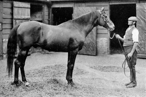 Foxhall, 1880-1904, 1911 av Unbekannt