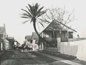 Francis Street, St Augustine, USA, 1895. av Unbekannt