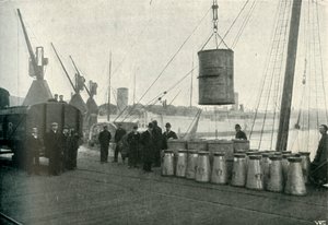 Fransk mjölk landades i Southampton, 1902. av Unbekannt