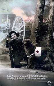 Franskt vykort från första världskriget, 1914-1918 av Unbekannt