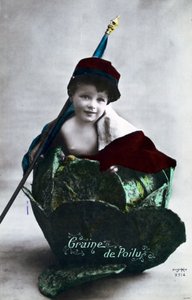 Franskt vykort från första världskriget, 1914-1918 av Unbekannt