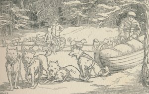 Pälsfångare, 1924 av Unbekannt