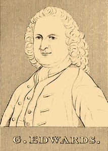 G. Edwards, 1694-1773, 1830. av Unbekannt