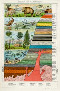 Geologi och paleontologi, c1880 av Unbekannt
