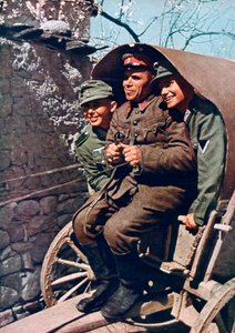 Tyska alpina trupper i en vagn med en bulgarisk soldat, Struma Valley, Bulgarien, 1941 av Unbekannt