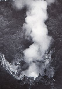 Great Wairakei Geyser, sent 1800-tidigt 1900-tal. av Unbekannt