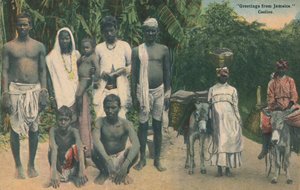 Hälsningar från Jamaica. Coolies, tidigt 1900-tal. av Unbekannt