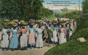 Hälsningar från Jamaica. Går till marknaden med Yams och käppar. Constant Spring Road, 1913. av Unbekannt