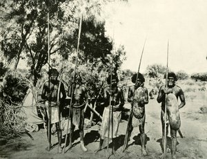 Grupp av aboriginalmän, Queensland, Australien, 1901. av Unbekannt