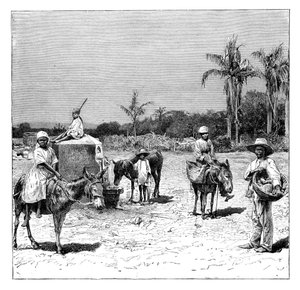 Grupp av haitier, c1890 av Unbekannt