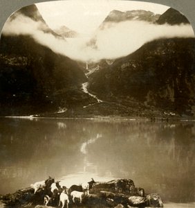 Grytereidsglaciären glittrar ovanför drivande moln, över den lugna sjön Olden, Norge, c1905. av Unbekannt