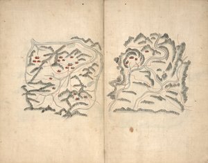 Haedong passion. Hosŏ chŏndo. av Unbekannt