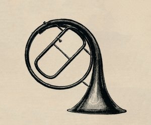 Handhorn, 1895. av Unbekannt
