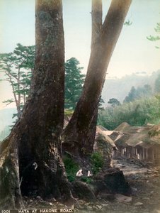Hata vid Hakone Road, Japan, tidigt 1900-tal av Unbekannt