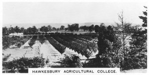 Hawkesbury Agricultural College, New South Wales, Australien, 1928 av Unbekannt