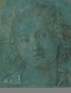 Head of a Boy, andra hälften av 1500-talet. av Unbekannt