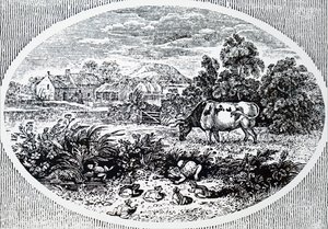 Headpiece av Thomas Bewick av Unbekannt