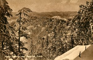 Kraftigt snöfall nära Kasumpti, Shimla, c1918-c1939. av Unbekannt