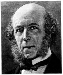Herbert Spencer, engelsk filosof och sociolog, 1897 av Unbekannt