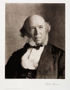 Herbert Spencer, engelsk socialfilosof av Unbekannt