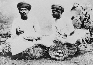 Hinduiska fruktförsäljare, Indien, 1900-talet av Unbekannt