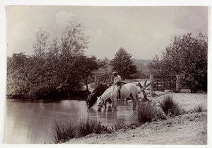 Hästar som dricker vid dammen, vers 1890 av Unbekannt