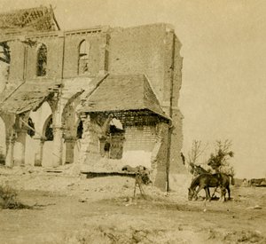 Hästar som betar nära den ruinerade kyrkan, Frise, norra Frankrike, c1914-c1918 av Unbekannt