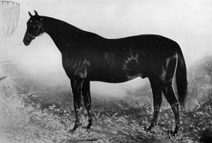 Gästfrihet, 1800-talet, 1911 av Unbekannt
