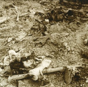 Mänskliga kvarlevor, Verdun, norra Frankrike, c1914-c1918 av Unbekannt