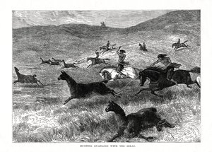 Jagar Guanacos med Bolas, Sydamerika, 1877 av Unbekannt