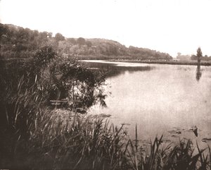 Hurley Reach, Themsen mellan Bisham och Medmenham, Buckinghamshire, 1894. av Unbekannt