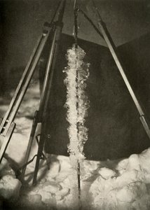 Iskristaller bildade på linjen av en fiskfälla, c1908, 1909 av Unbekannt