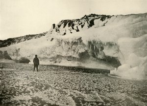 Isblommor på nybildad havsis tidigt på vintern, c1908, 1909. av Unbekannt