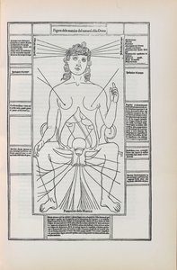 Illustration från Fasciculo di medicina av Johannes de Ketham, 1493. av Unbekannt