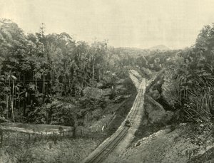 I Blackall Ranges, 1901. av Unbekannt