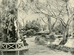 I den botaniska trädgården, Adelaide, 1901. av Unbekannt