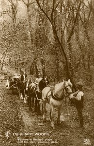 I Shady Woods, sent 1800-tal eller tidigt 1900-tal av Unbekannt