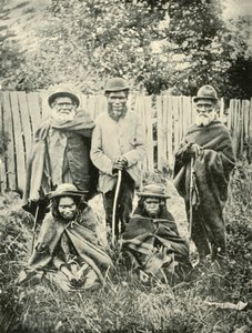 Ursprungsbefolkningen i västra Australien, 1901. av Unbekannt