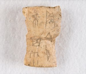 Orakelben av inskrivet benfragment, Late Shang-dynastin, ca. 1300-1050 f.Kr. av Unbekannt