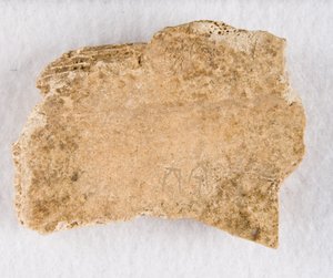 Orakelben av inskrivet benfragment, Late Shang-dynastin, ca. 1300-1050 f.Kr. av Unbekannt