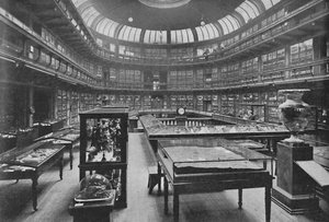 Interiör på Geologiska museet, Jermyn Street, 1904 av Unbekannt