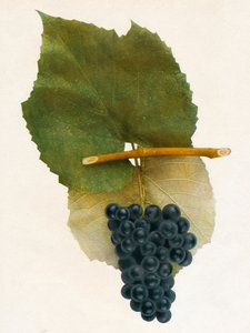 Panzerschiff von Unbekannt